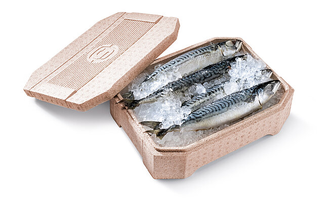 Eine braune Isolierbox aus Biokunststoff mit frischem Fisch und Eis
